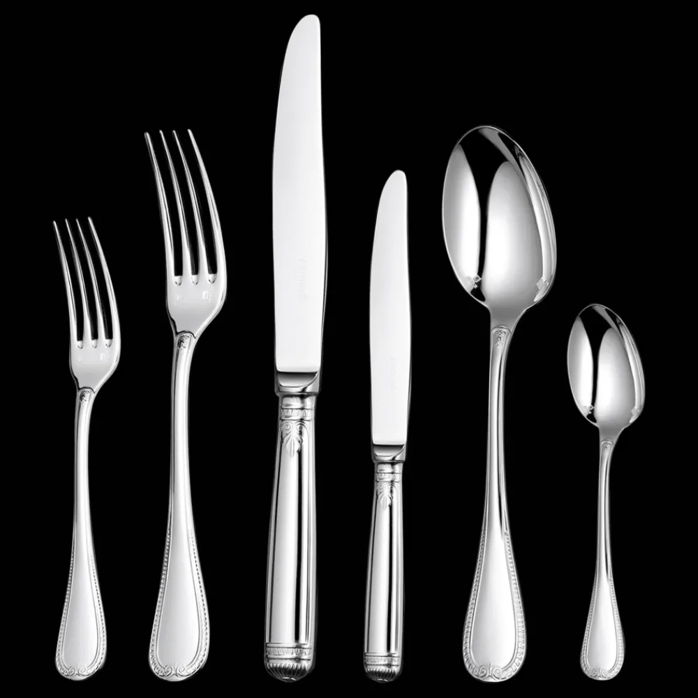 Services De Table Et Ménagères*Christofle Ensemble pour 12 personnes (110 pièces) en métal argenté avec coffre