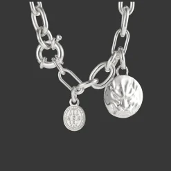 Cadeaux Personnalisables|Cadeaux Pour La Maman*Christofle Médaille en Argent Massif - Peau de Lion